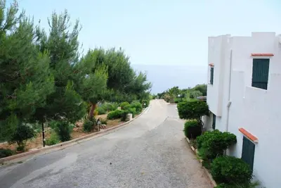 an empty road next to a white building and trees at villa Macari in San Vito lo Capo
