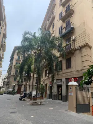 a palm tree in front of a building at Materesa in Palermo
