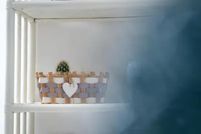 a shelf with cactuses and a plant on it at A casa di Cilu - Centro Storico in Palermo