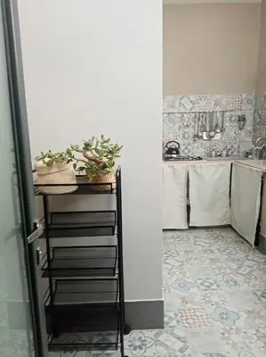 a bathroom with a sink and a shelf with plants at Casa Allegra in Palermo