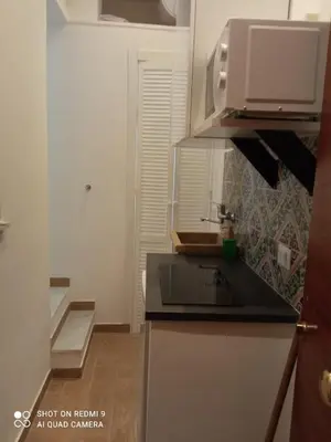 a small kitchen with a sink and a microwave at Maqueda Suite Palermo at Cathedral in Palermo