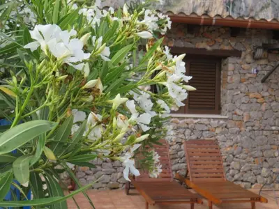 two benches and a bush with white flowers in front of a building at Villetta Edera all'Usciere in San Vito lo Capo
