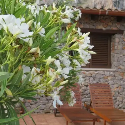 Villetta Edera all'Usciere
