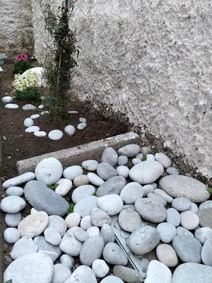 a pile of rocks and a plant in a garden at La Loggia 34 in Palermo