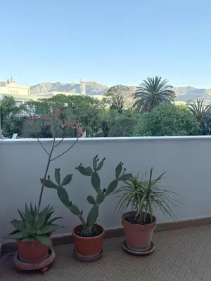 three potted plants are sitting on a balcony at Casa Indipendenza - Cattedrale in Palermo
