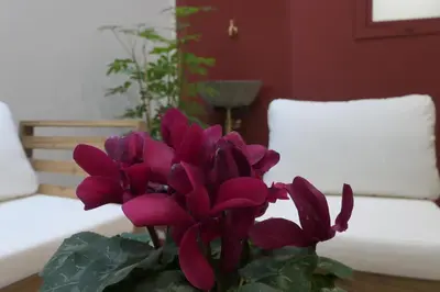 a purple flower in a vase on a table at Opera Suites - Aida in Palermo