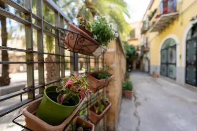 a balcony with potted plants on the side of a building at Cortile dei Giusti - Combo Guesthouse in Palermo