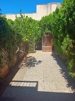 a garden with a walkway with a tree in the middle at SanVitoTour- Appartamento Smeraldo in San Vito lo Capo