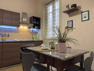 a kitchen with a table with a potted plant on it at Appartamento centro in Palermo