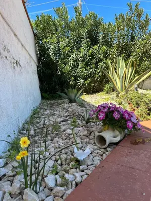 a garden with flowers on the ground next to a wall at Villa FIORENZA in Castellammare del Golfo