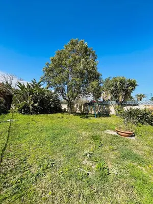 a field with a tree and a bowl in the grass at Villa Inserra Deluxe in Palermo