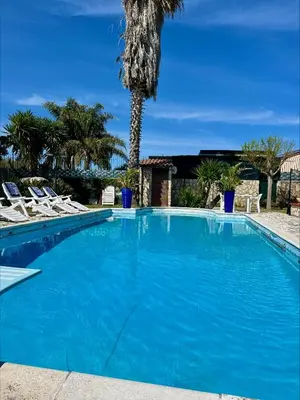 a large blue swimming pool with chairs and a palm tree at Villa Inserra Deluxe in Palermo