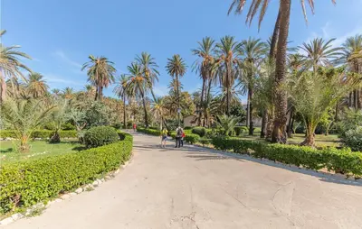 two people riding bikes down a path in a park with palm trees at Bilo 4 in Lido di Mondello