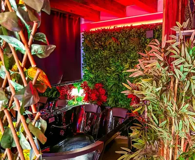 a room with plants and a stage with a curtain at Rouge Suite & SPA PALERMO CENTRO in Palermo