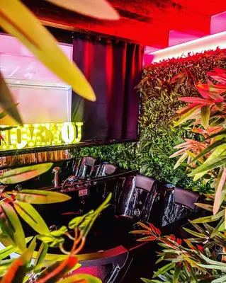 a green wall with chairs and plants in a room at Rouge Suite & SPA PALERMO CENTRO in Palermo