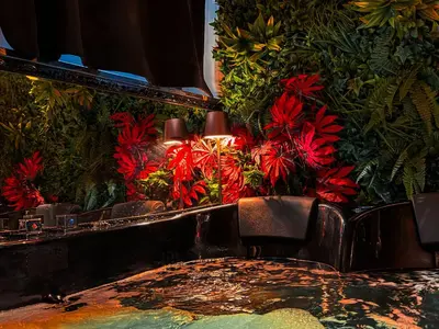 a large aquarium with red plants and a table and chairs at Rouge Suite & SPA PALERMO CENTRO in Palermo