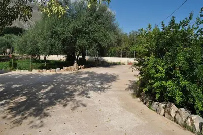 a dirt road with trees and bushes on the side at Appartamento uso turistico Villa Barbara in Carini