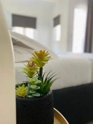 a black planter with plants on a table at Attico Belvedere in Palermo