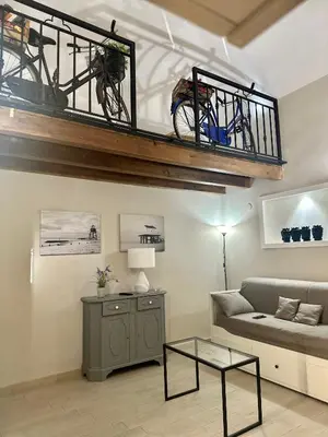 a living room with a couch and a bike on a shelf at GDM central apartment Palermo in Palermo