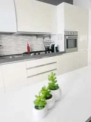 a kitchen with white cabinets and two potted plants at Energy Home in Palermo