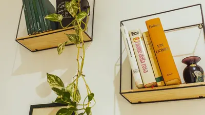 a book shelf with books on it next to a plant at Casa Madì in Palermo